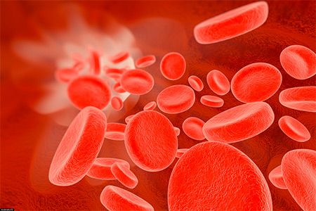 Fertilité et groupe sanguin